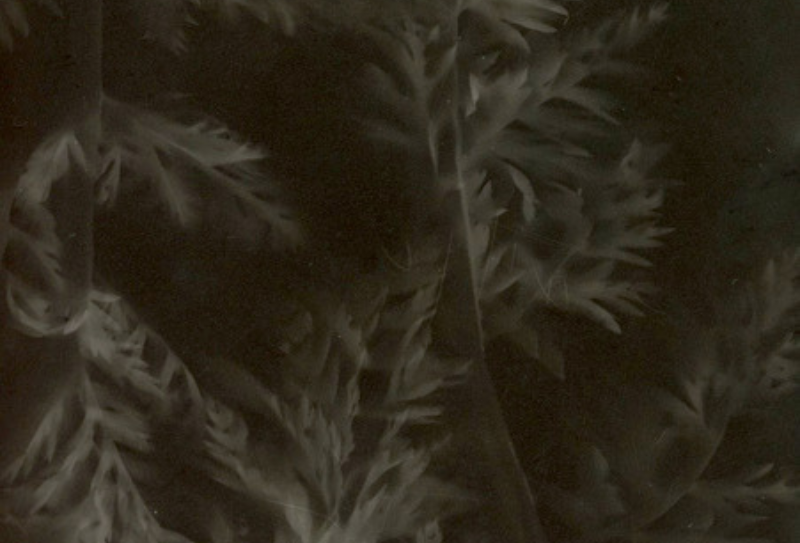 Dans l&rsquo;imaginaire du grand Hazé (800 x 600 px) – expo Dornier