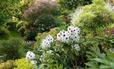 Rendez-vous aux jardins - Le jardin Bleuenn