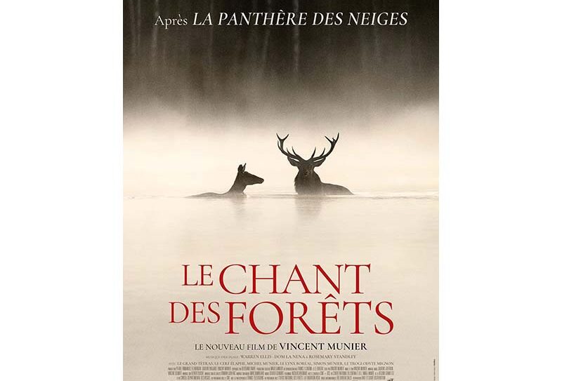 le chant des forêts800