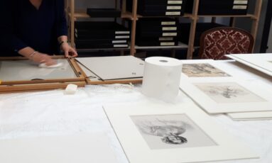 Visite des réserves du musée