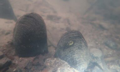 Sortie - Un trésor dans la Rouvre