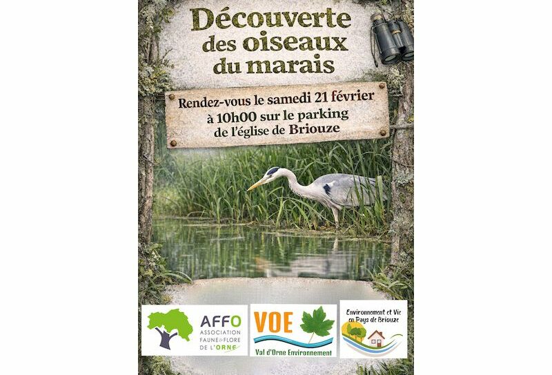 627572031_2334591063677252_7731697372500694510_n