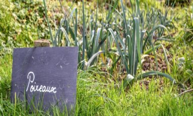 Concevoir son jardin nourricier
