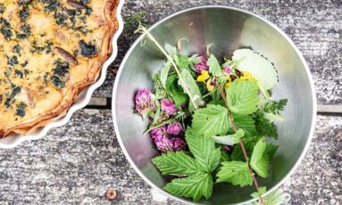 Sortie - Tous les goûts sont dans la nature !