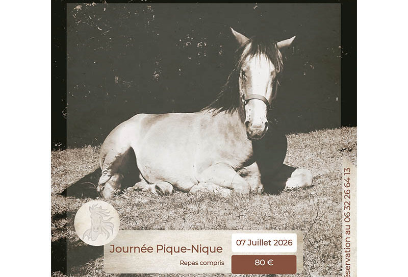 CHEVAL BAGOT