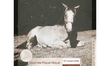 Journée pique-Nique à cheval