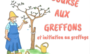 Bourse aux greffons et inititation au greffage d'arbres fruitiers
