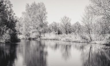 Balade nature - Le marais au crépuscule