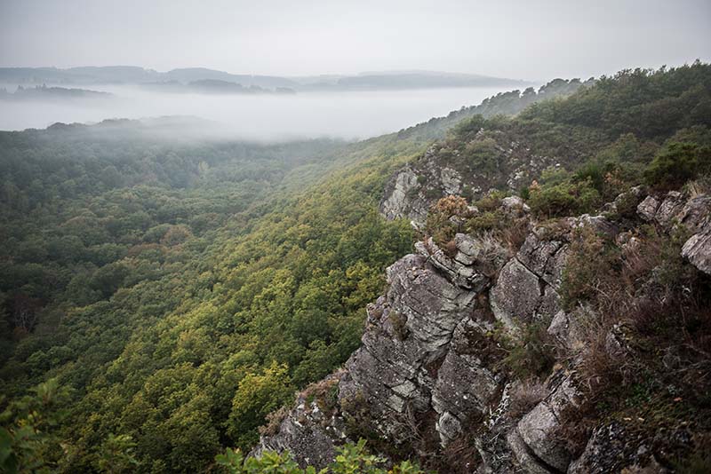 ROCHE-OETRE-ENS-BGILLOT–800-