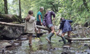 Sortie- Que de vie dans la rivière !