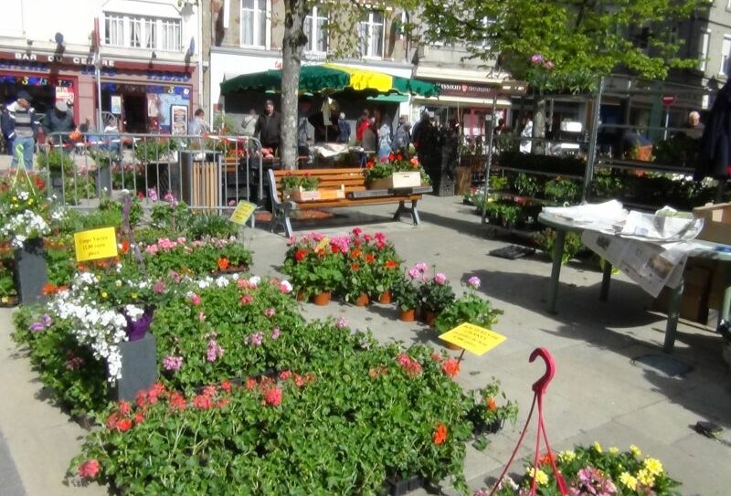 fleurs800