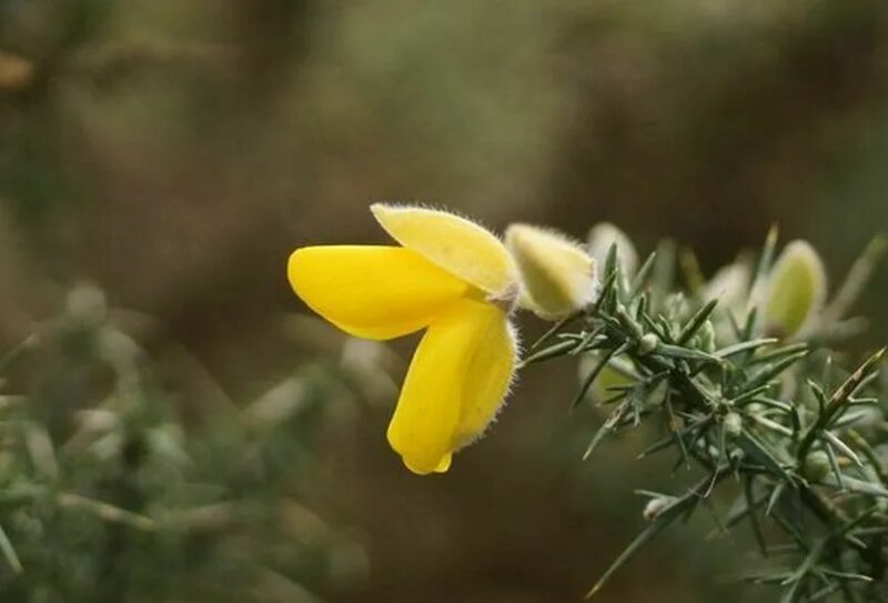 jeu_de_piste_B_Gillot_(Grand)