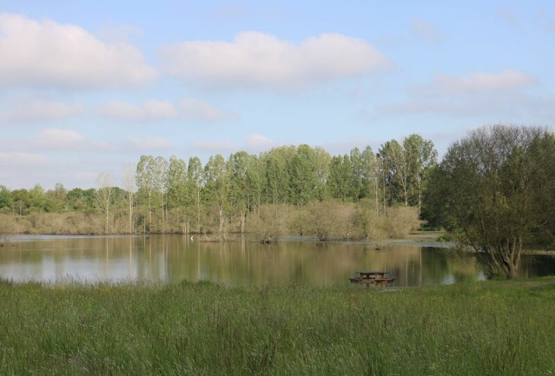1 – Etang de l&rsquo;Enclos (1)800