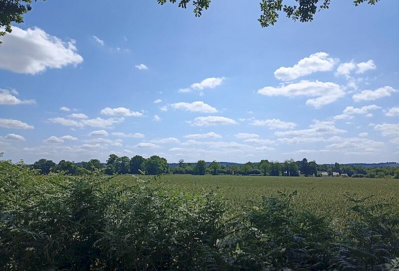 1 – IMG_20250617_150615-800