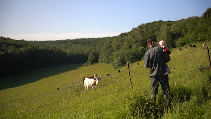 15. Joris et sa fille au vaches 4