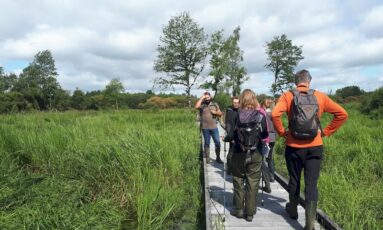 Balade nature - La boucle du marais
