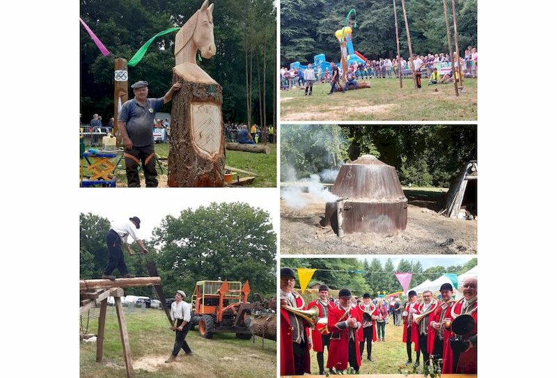 22.01.26-COLLAGE.jpg-collage-pour-presse