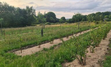 Balade gourmande aux Vergers du Muscardin