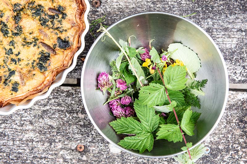 Atelier-plantes-AHC-BeaGillot–12-