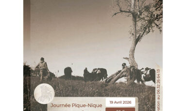 Journée pique-nique à cheval