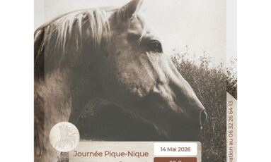 Journée pique-Nique à cheval