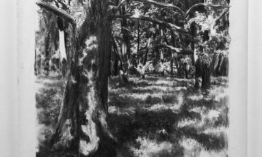 Rencontre /atelier artiste - public à l'esTRAde avec Bastien Vittori