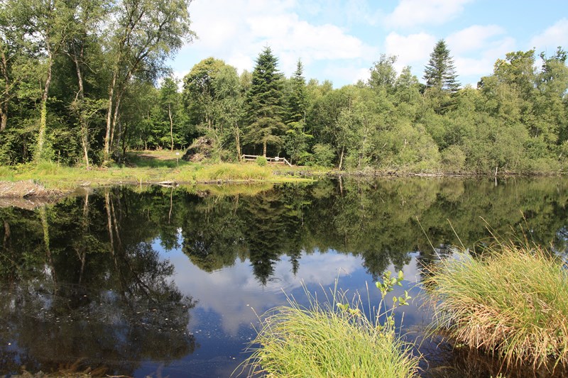 Etang_le Grais