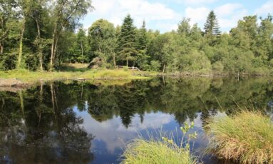 Balade nature - Portes-ouvertes à l'Etang de la Lande Forêt
