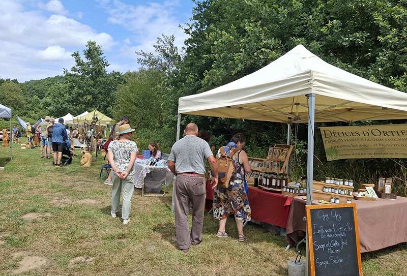 MARCHE-2025-MJ–800-