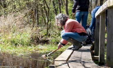 Balade nature - Pinces, nageoires et mandibules