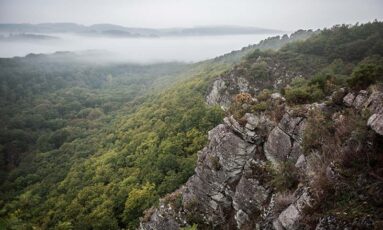 Balade nature en famille