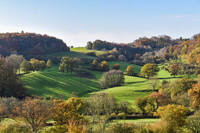 Sentier-des-meandres–bocage-beagillot–800-