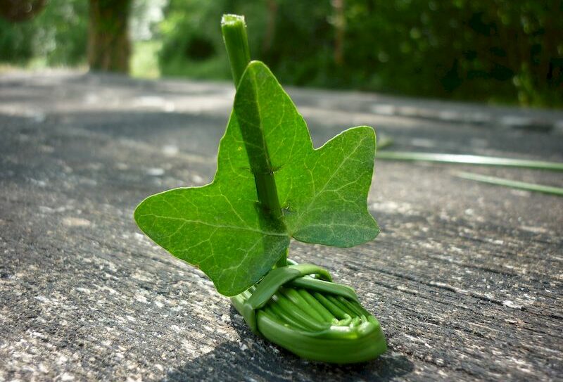 VannerieVegetale2-CPIECollinesNormandes