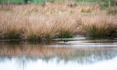 Jeu de piste autour de l'étang