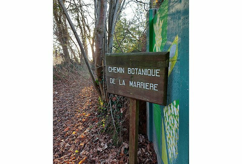 chemin botanique marais800©MNT