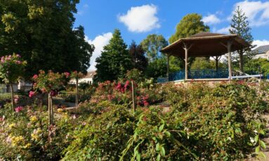 Dans mon jardin, il y a...