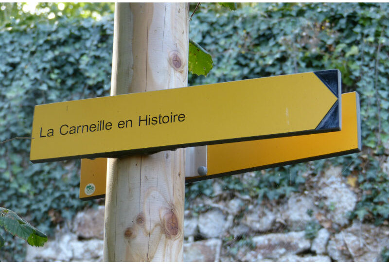 la carneille panneau 800