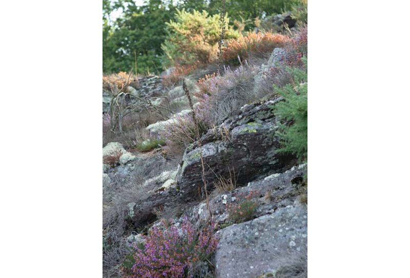 La Roche d&rsquo;Oëtre – St Philbert sur Orne