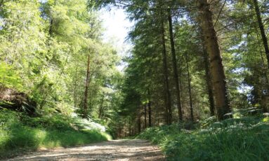 Les balades du mardi - 