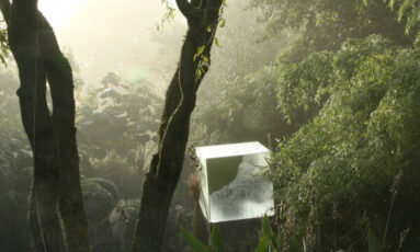 Jardin intérieur à ciel ouvert réouverture 2026