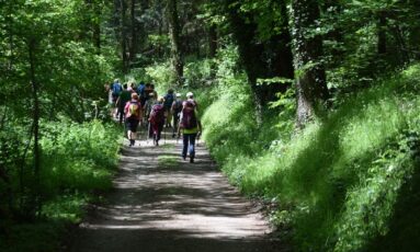 Les Rendez-vous de l'été- randonnée le Lembron