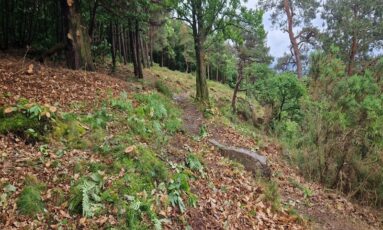 Restauration et biodiversité des landes de Cerisy