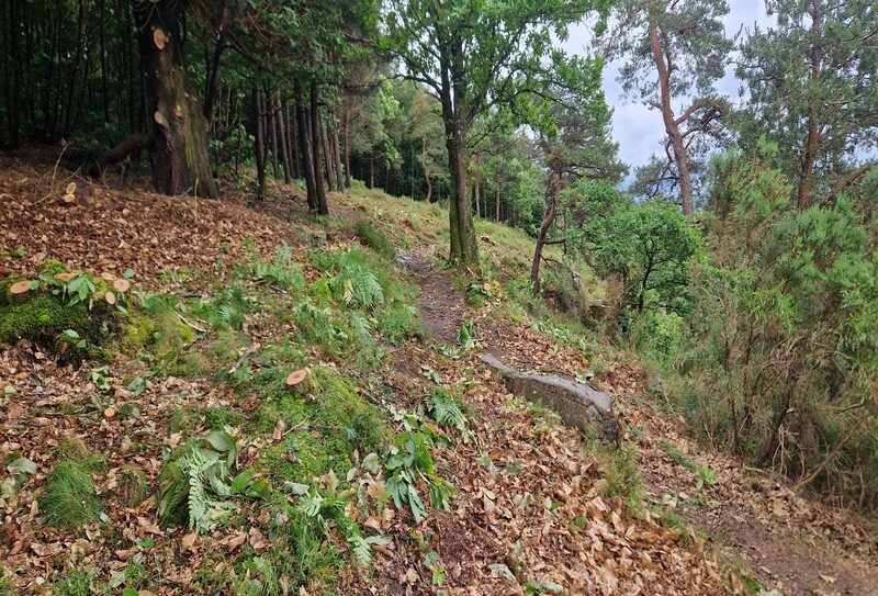 Lande-Cerisy-YGU (1)