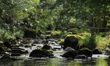 Les Rendez-vous de l'été- randonnée Le chant des cailloux