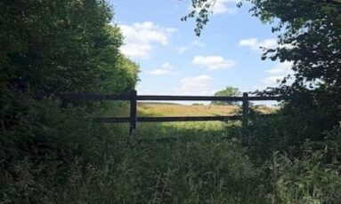 Les Rendez-vous de l'été- randonnée Le Mont d'Hère