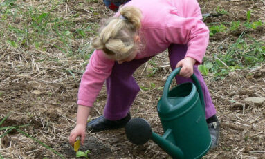 Parlons jardin