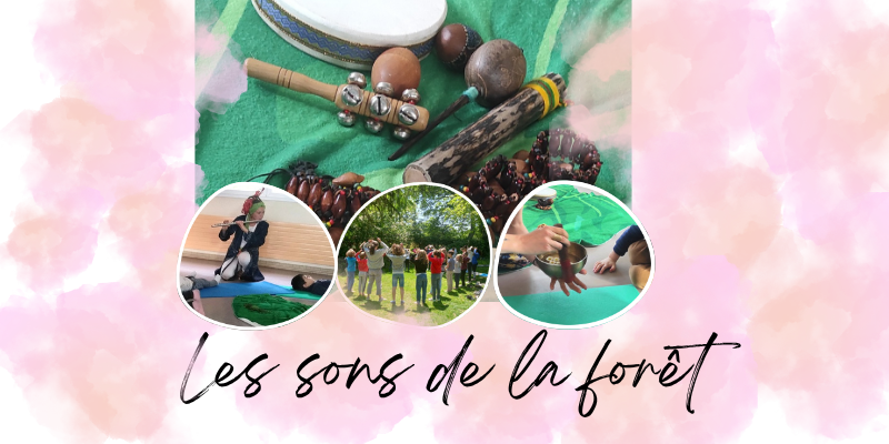 Sons de la forêts