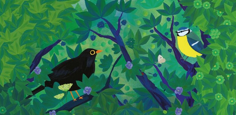Exposition « Observons les oiseaux »