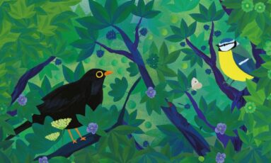 Exposition « Observons les oiseaux »