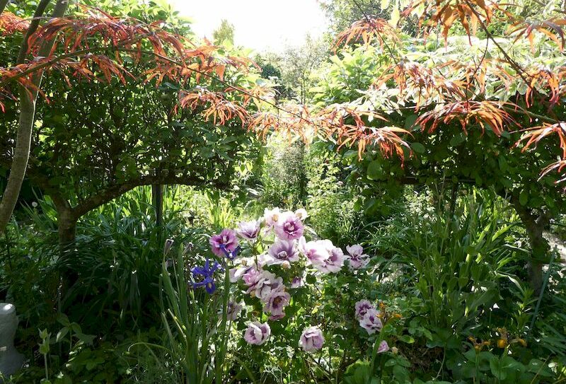 jardin bleuenn